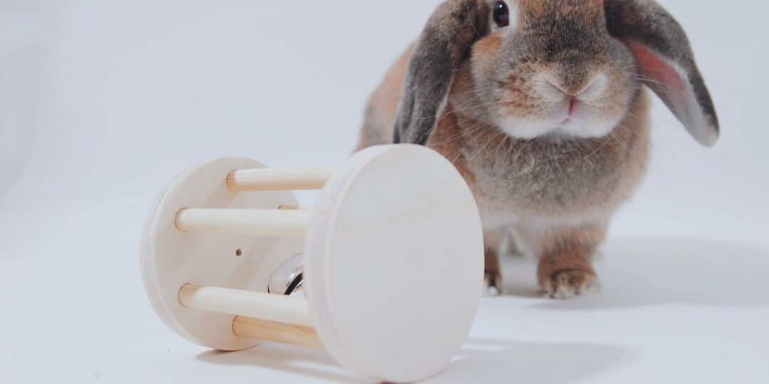 25 Easy Diy Rabbit Toys Ideas